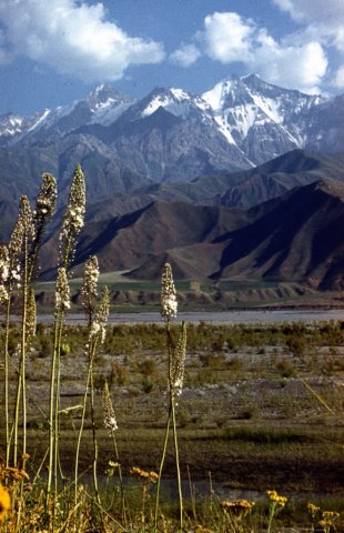 pamir2.jpg