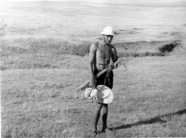 saur19651.jpg