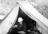 saur19653_small.jpg